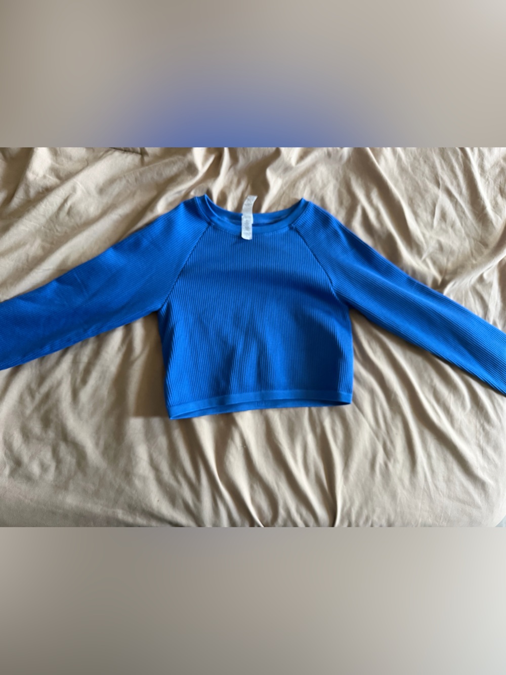 Bright Blue Ribbed Long Sleeve Cropped Workout Top